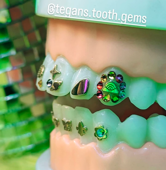 Tooth Model - Practice Mouth