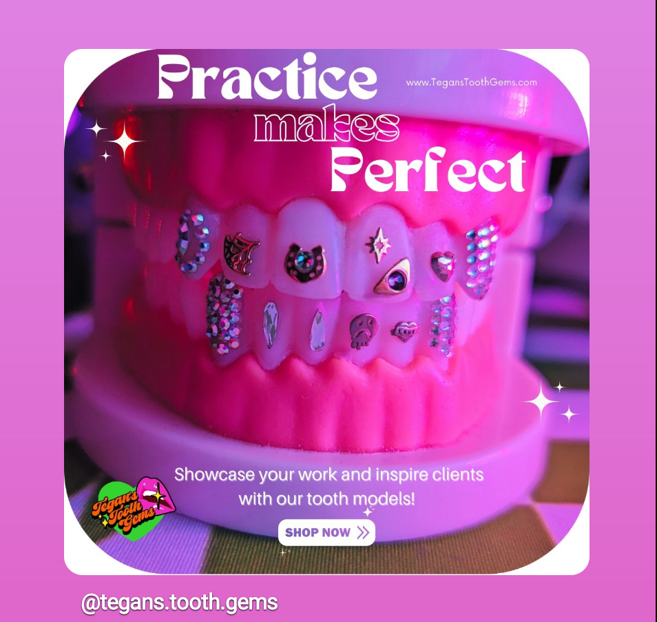 Tooth Model - Practice Mouth