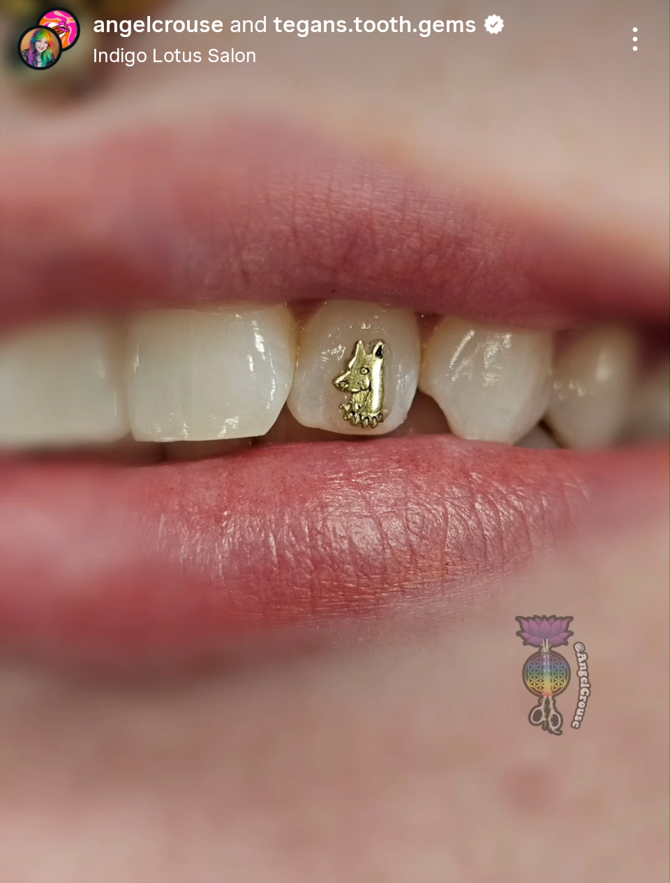 18K Beware of Dog Tooth Gem