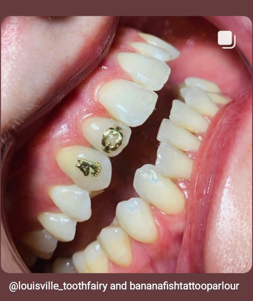 18k Chain Link Tooth Gem