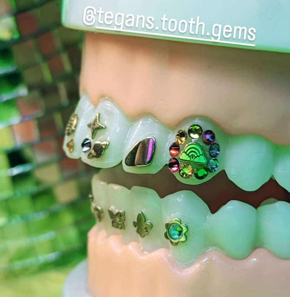 Tooth Model - Practice Mouth